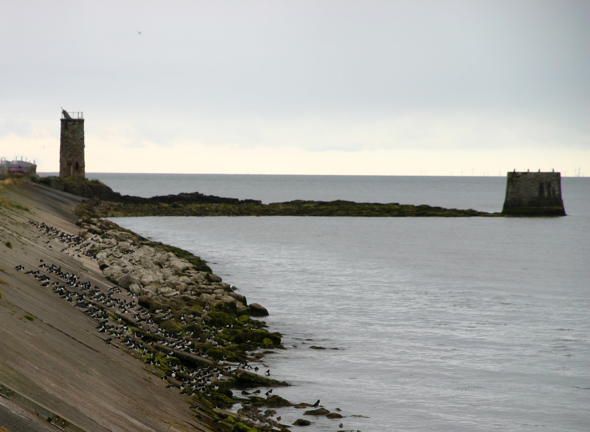 Waiting for low tide